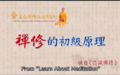 「金菩提」宗師的《禪修的初級原理》|金菩提禪修教學|金菩提評價