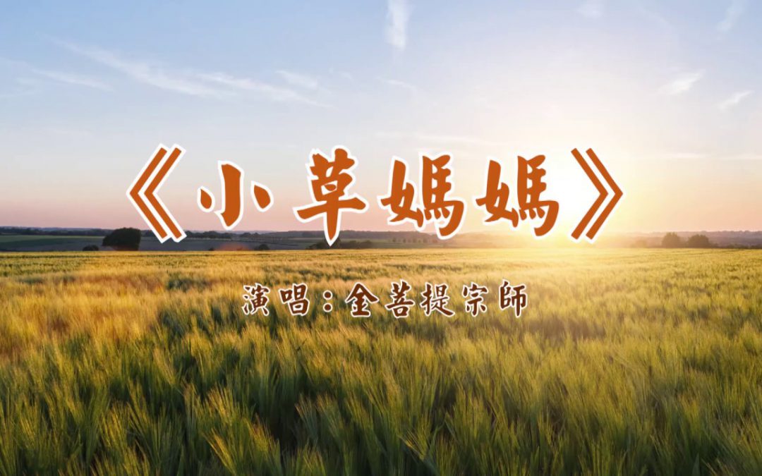 「金菩提」宗師【新歌發布】《小草媽媽 》|金菩提新聞|金菩提評價分享