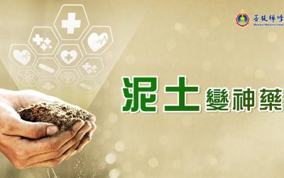 【 金菩提禪師 】一瓶礦泉水，一張紙，或者泥土的神奇「藥」用 | 金菩提禪師 修行人的慈場