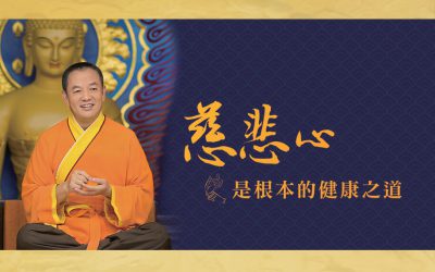 慈悲的世界| 金菩提 | 金菩提禪師